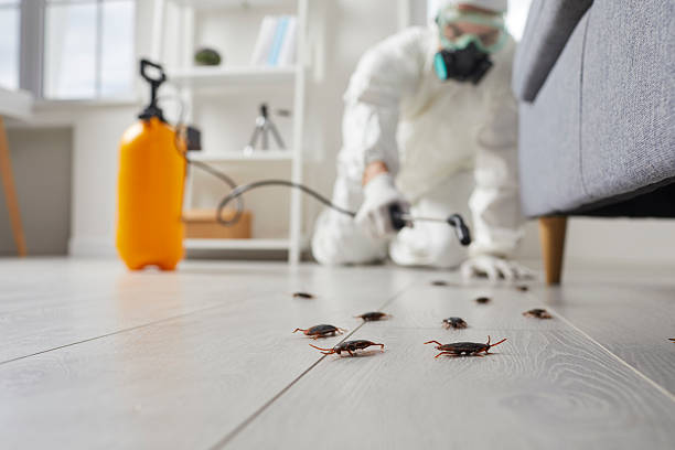 Trusted Bed Bug Control service in Manchester, WA - Nex Pest Control