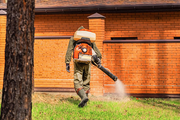 Trusted Cockroach Control service in Manchester, WA - Nex Pest Control